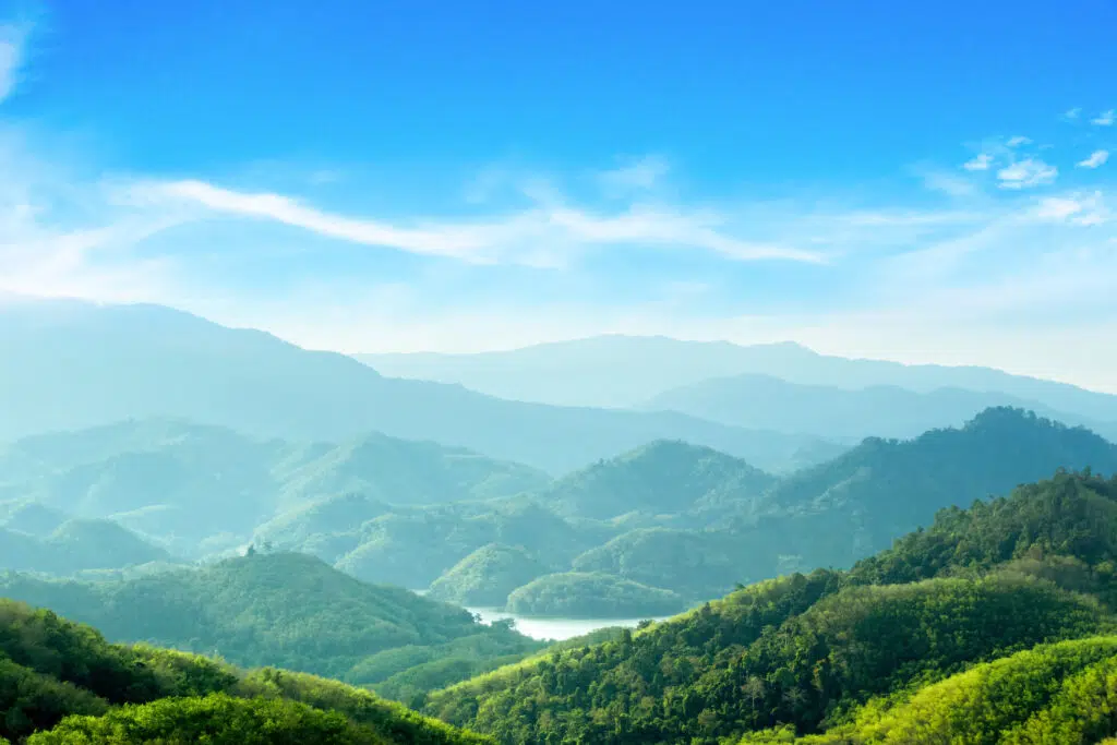  Sustainable Investing in Focus: Green Horizons or Gridlocked Featured Image