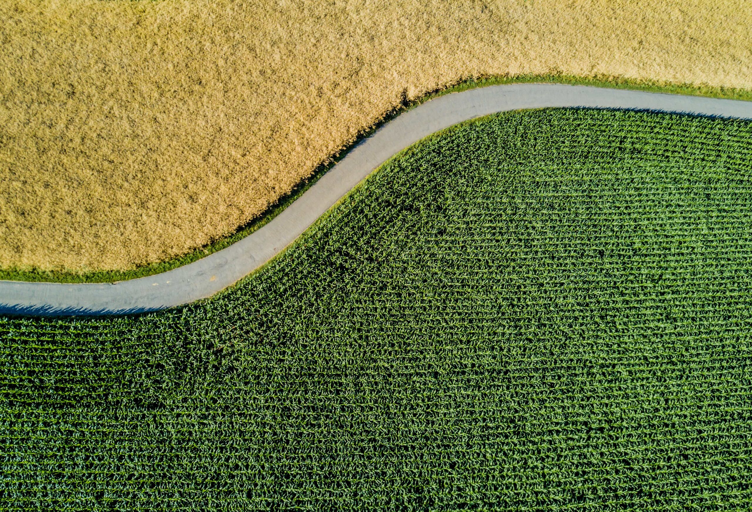 Business Ownership at a Crossroads: Key Questions for Planning What’s Next