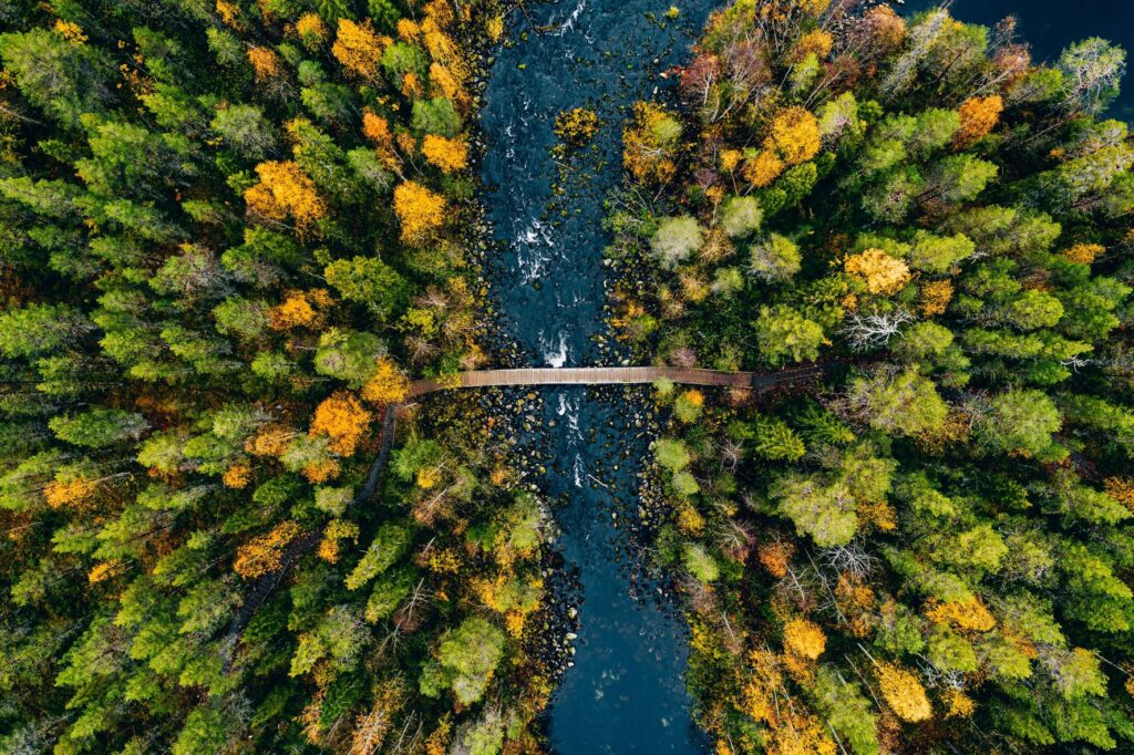  Cambridge Associates Survey Reveals Nearly 150% Increase in Institutional Sustainable Investments Over Four Years Featured Image