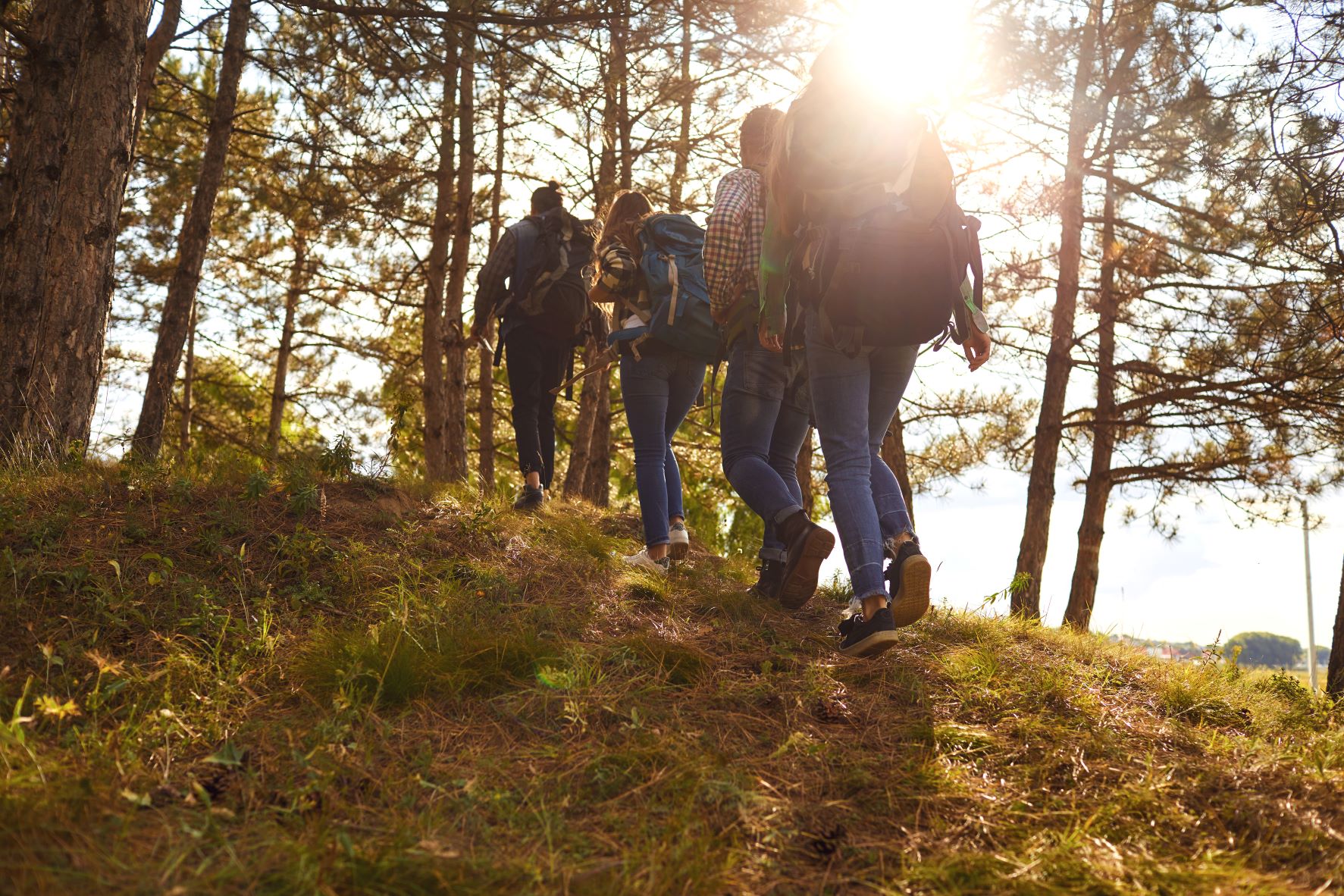 Case Study: Building an investment strategy to better serve multiple generations
