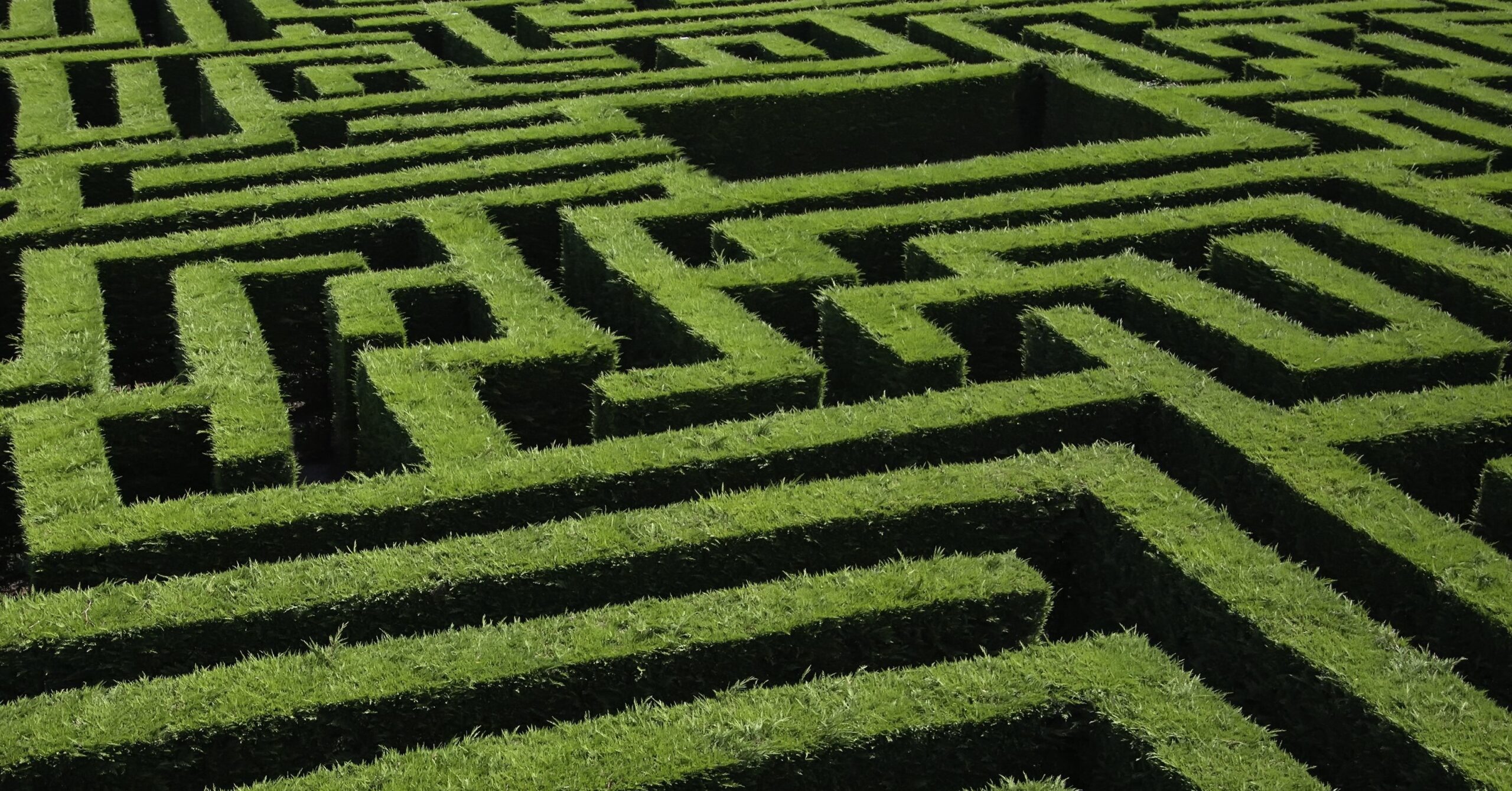 Navigating the Diversified Growth Fund Maze