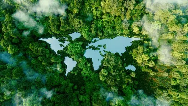  Net Zero Investor: Why UK Endowments are Turning to Private Markets for Climate Solutions Featured Image