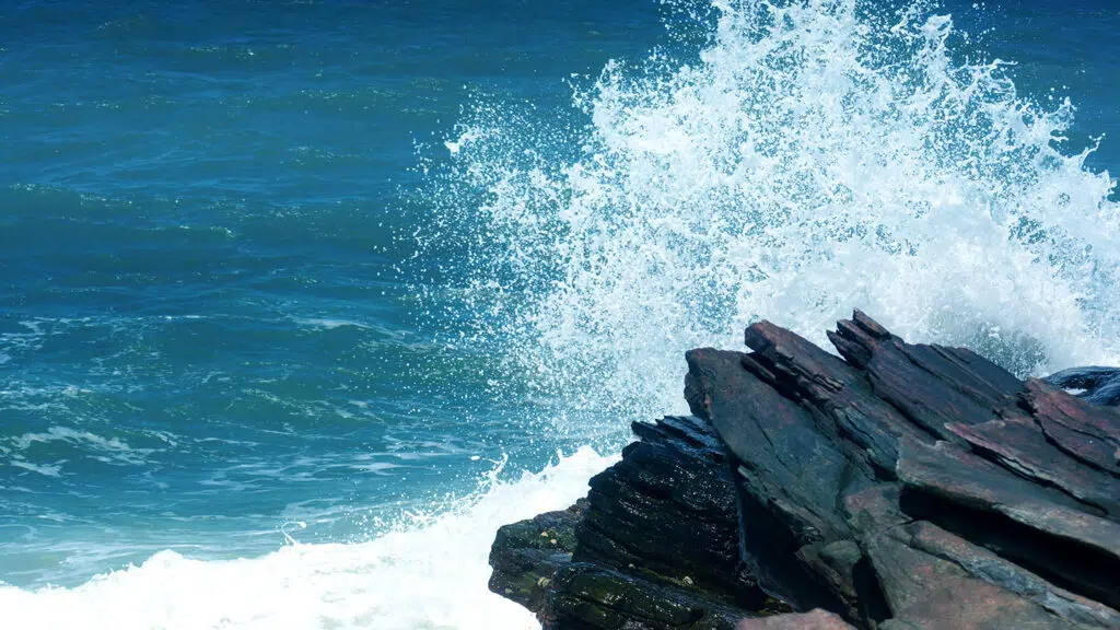  Making Waves: The Cresting Co-Investment Opportunity Featured Image
